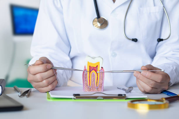 Best Pediatric Emergency Dentist in Riesel, TX